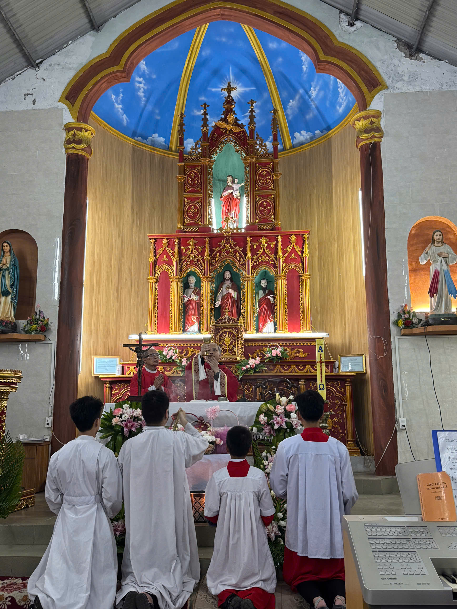 Photo-8
